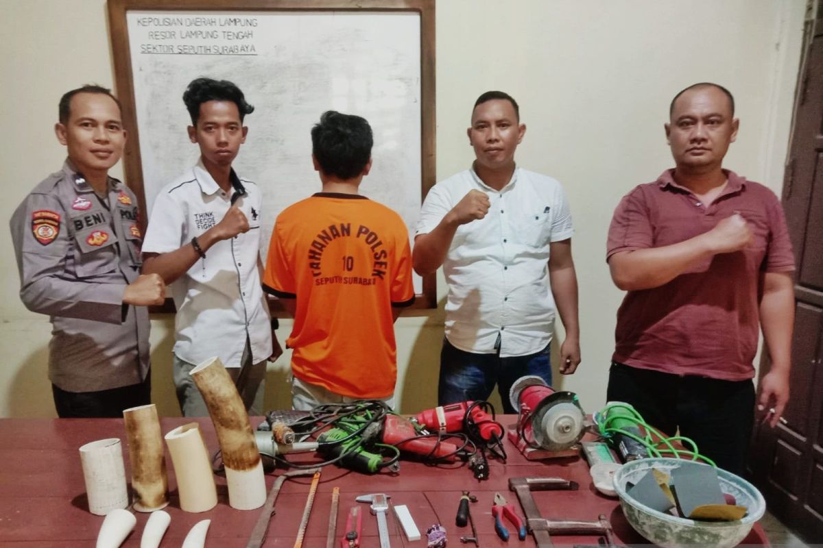 Polres Lampung Tengah tangkap pembuat pipa rokok dari gading gajah
