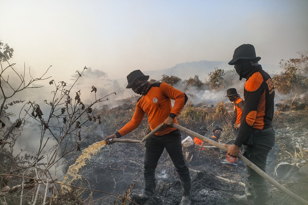 BPBD Kolaka Timur terus padamkan karhutla di Wesalo