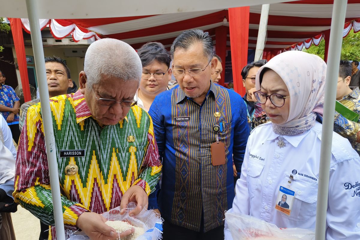 Disket Pangan sebut stok beras cukup hingga enam bulan ke depan