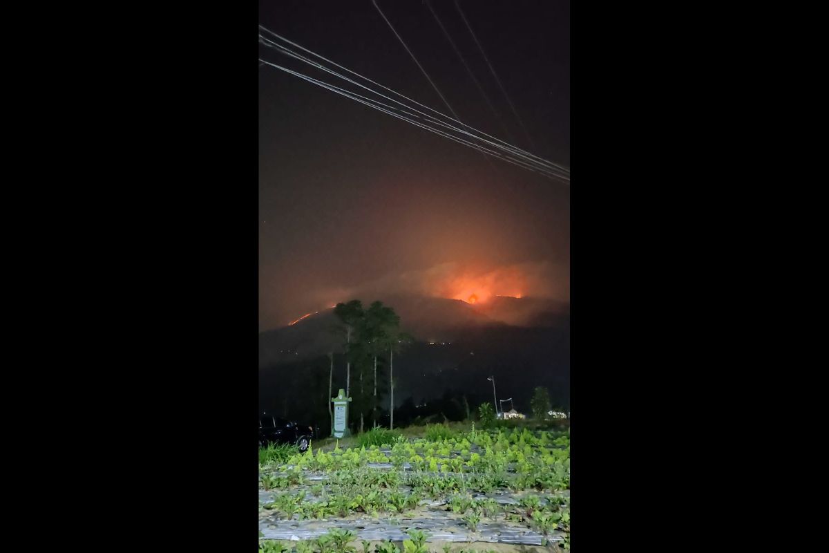 Hingga Minggu, lahan terbakar di Gunung Merbabu capai 489,07 ha