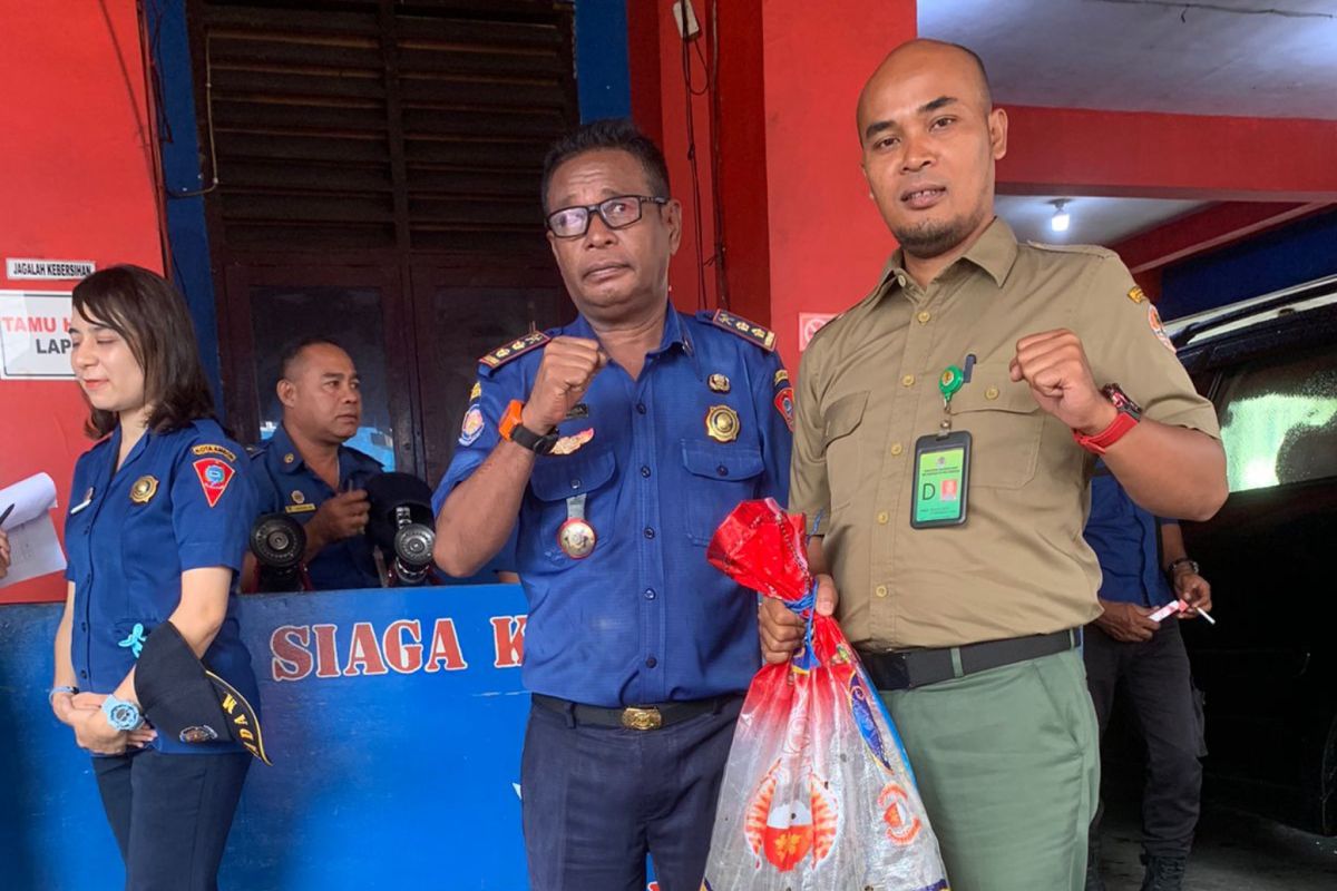 BKSDA Maluku terima penyerahan satwa liar dua ekor ular sanca kembang di Ambon