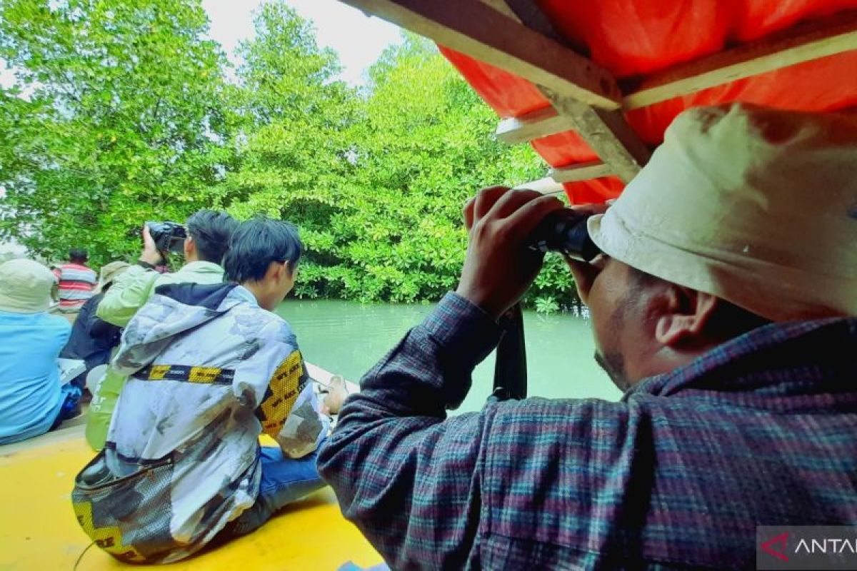 Burung Indonesia gelar WMBD 2023 di tiga kawasan mangrove Pohuwato