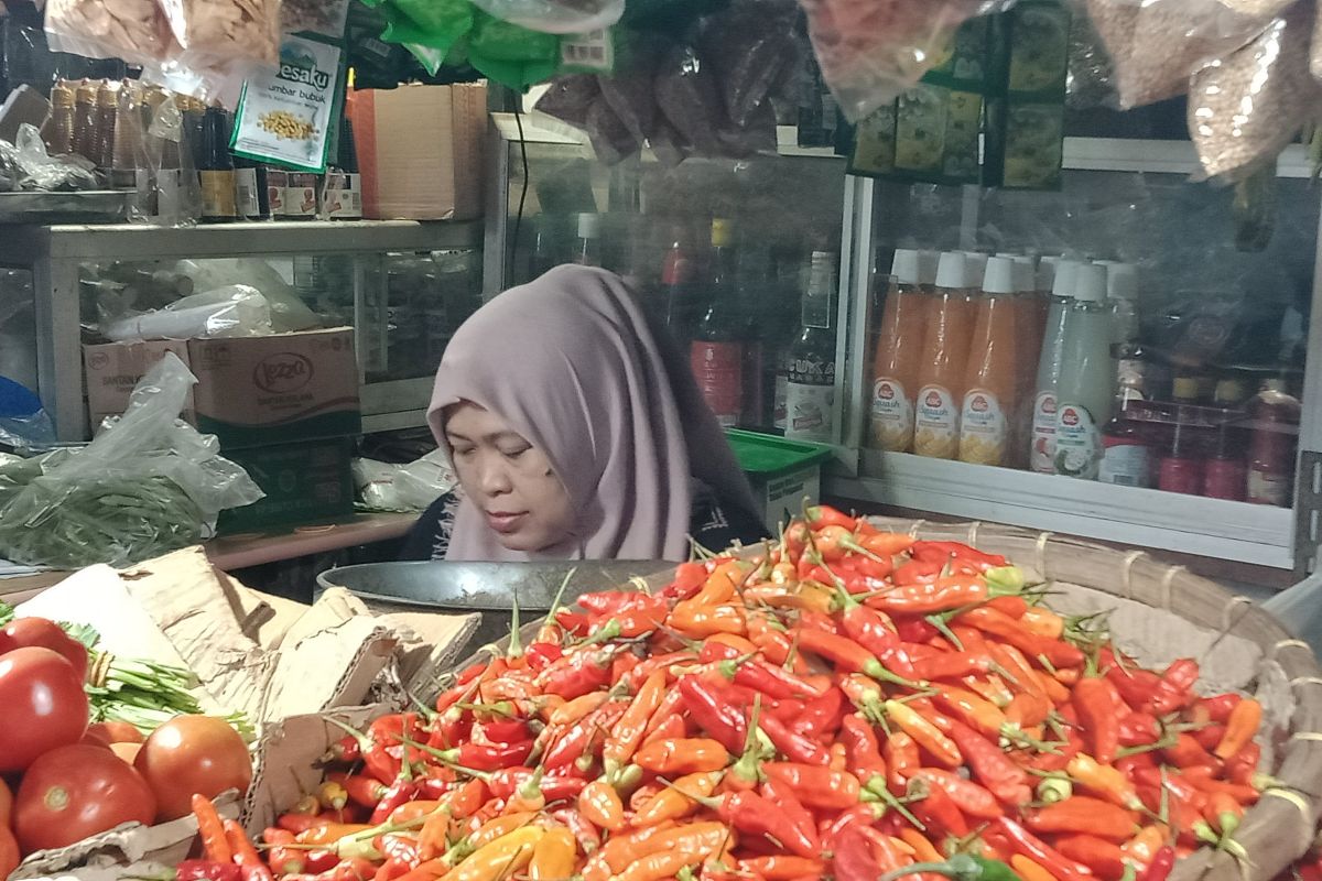 Harga cabai rawit di pasar tradisional Jember merangkak naik