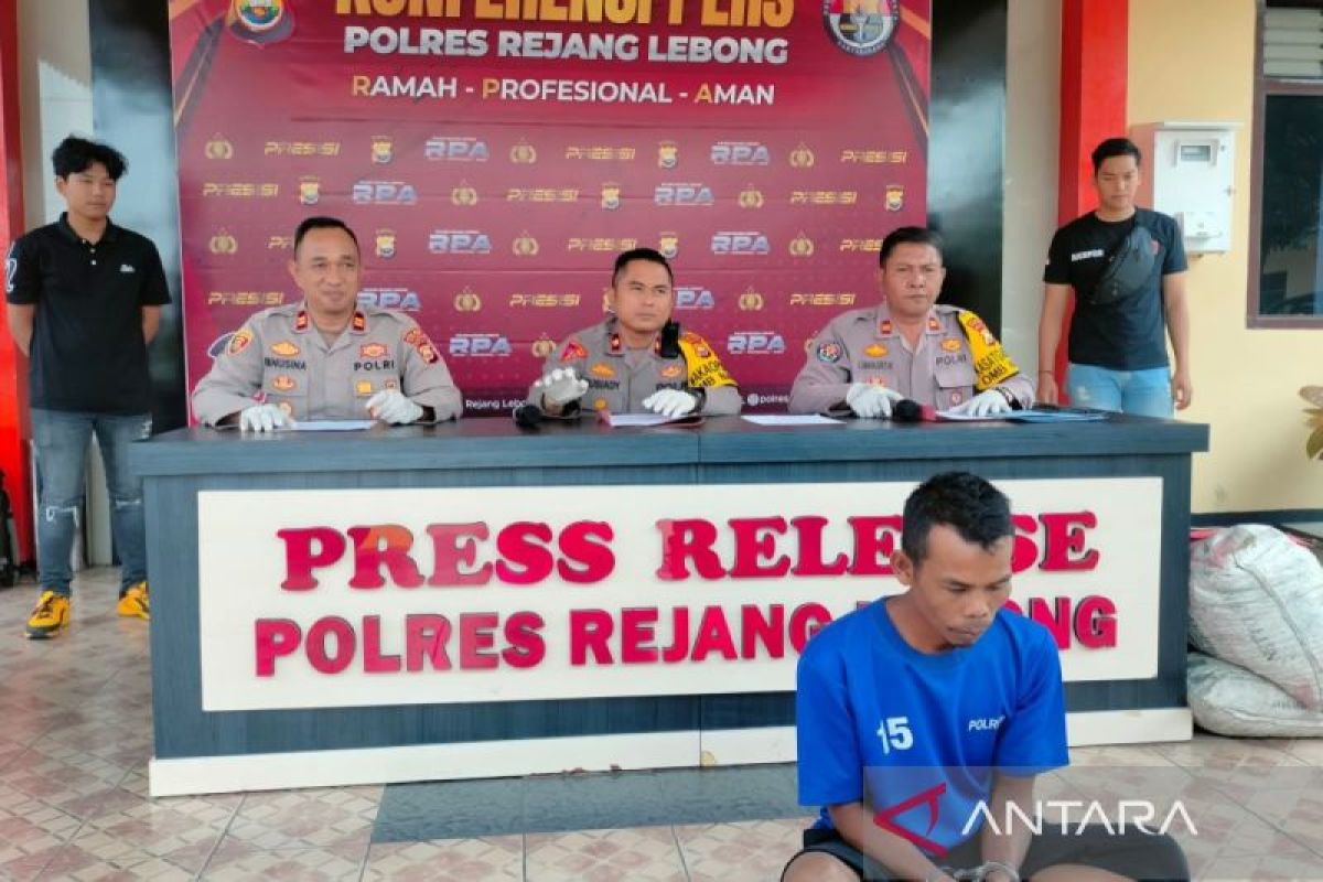 Polisi di Rejang Lebong tangkap spesialis pencurian buah kopi