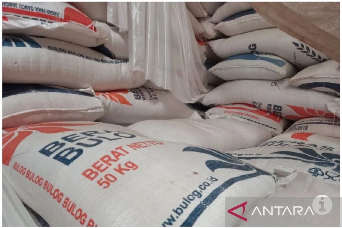 Bulog Sulutgo kembali impor beras 6.000 ton dari Thailand
