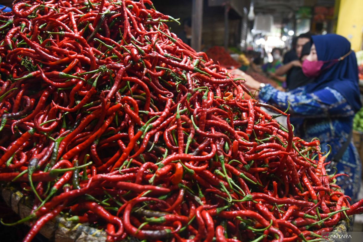 NFA memobilisasi cabai rawit merah ke daerah defisit guna jaga harga