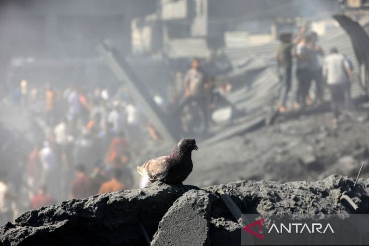 Staf Kongres AS adakan protes dan tuntut gencatan senjata di Jalur Gaza Palestina