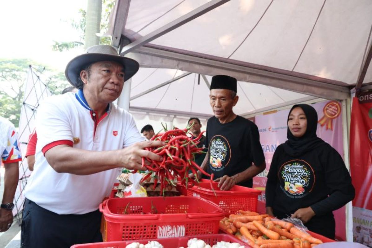 Pemprov Banten kendalikan inflasi dengan gerakan pangan murah