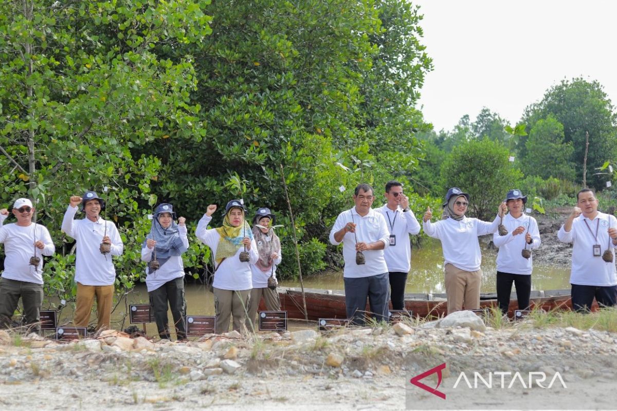 Meranti jadi tuan rumah penanaman mangrove dari BBPOM Pekanbaru