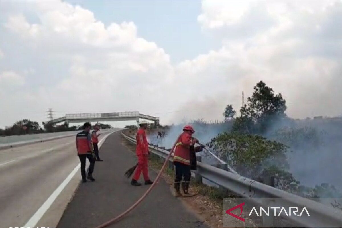 Damkar Lampung Selatan padamkan lima titik lokasi kebakaran lahan