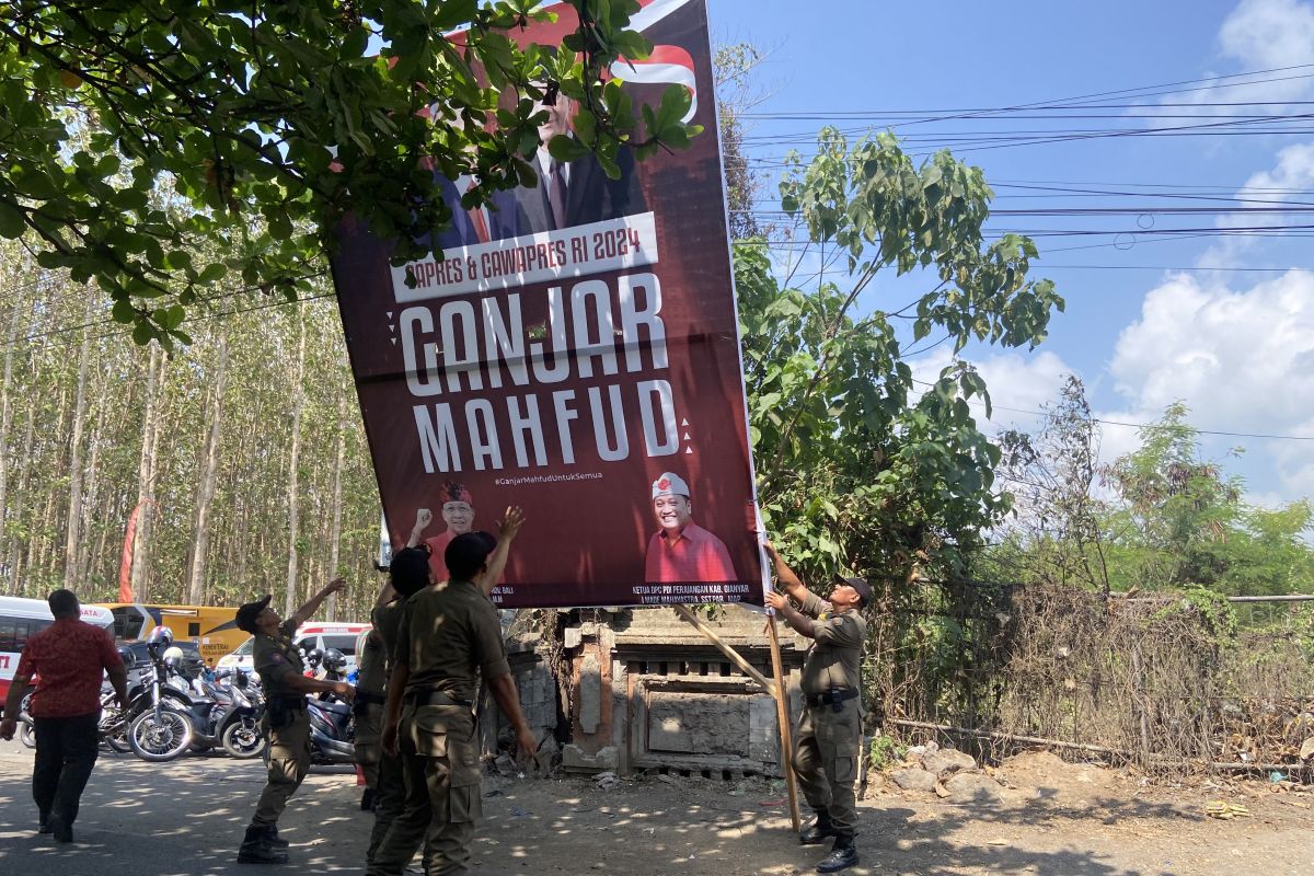 Satpol PP cabut atribut PDI Perjuangan di sepanjang lokasi kunjungan Jokowi di Gianyar