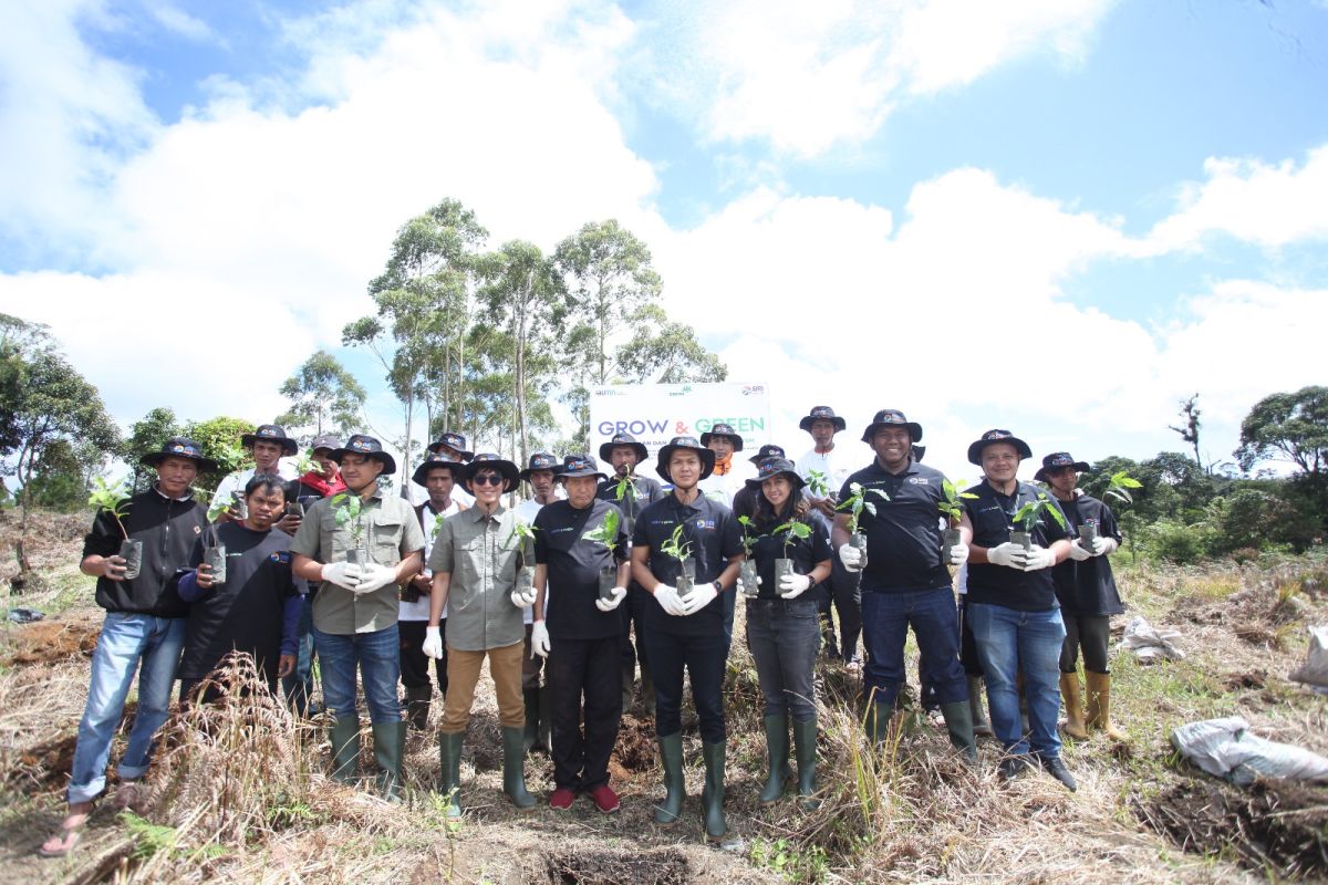 Jaga Kelestarian Danau Toba, BRI Peduli “Grow & Green” Tanam 2.500 Bibit Pohon di Samosir