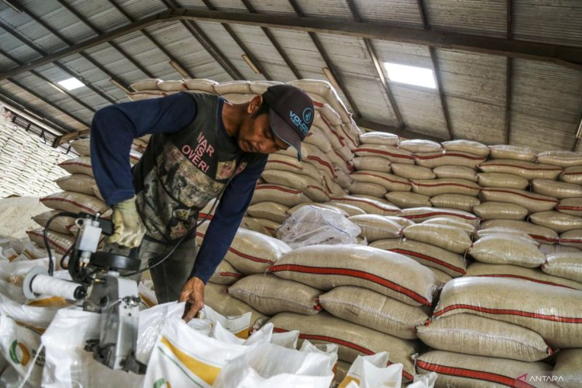 Swasembada beras sebagai “harga mati” bagi pertanian Indonesia