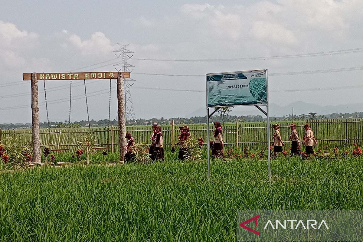 Membangkitkan semangat bertani sejak dini melalui Kawista Mernek