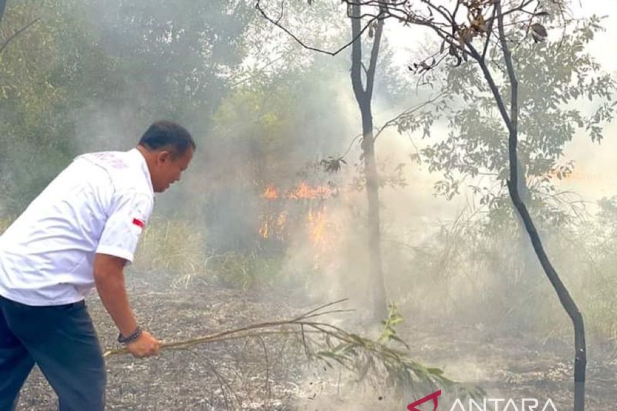 BPBD Babel sebut karhutla belum akan berkurang hingga musim hujan tiba