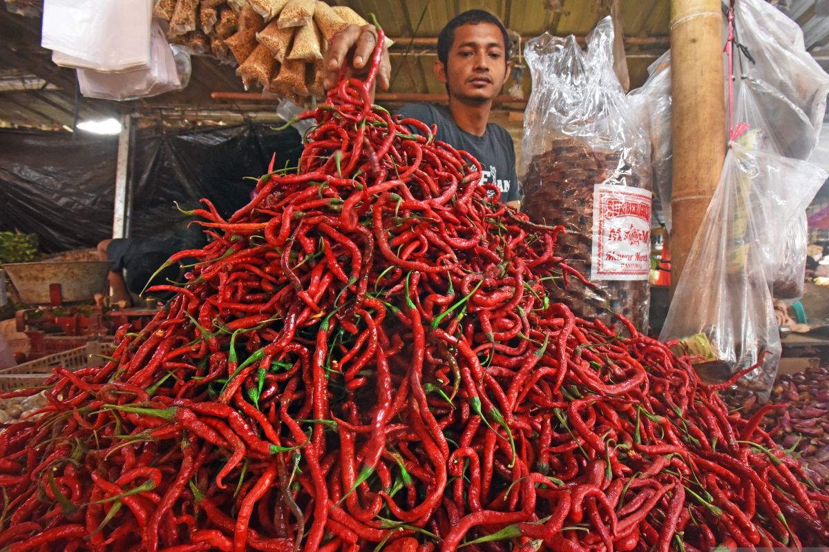 Harga pangan hari ini: Cabai merah keriting turun jadi Rp31.880 per kg