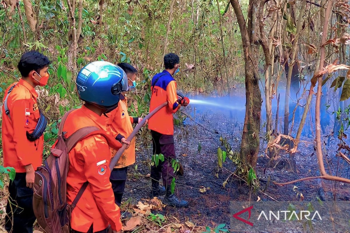 BPBD OKU Timur catat 32 kasus karhutla terjadi selama kemarau