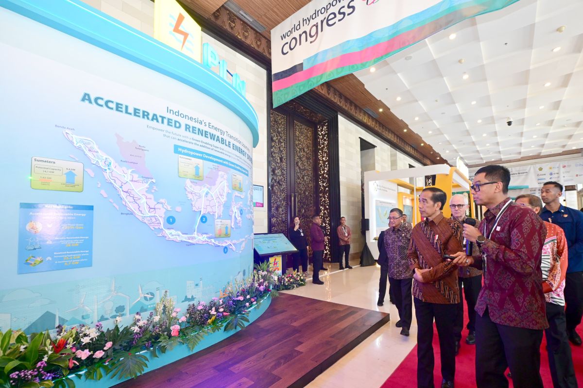 Dirut PLN paparkan pengembangan hydropowerdi hadapan Presiden Jokowi