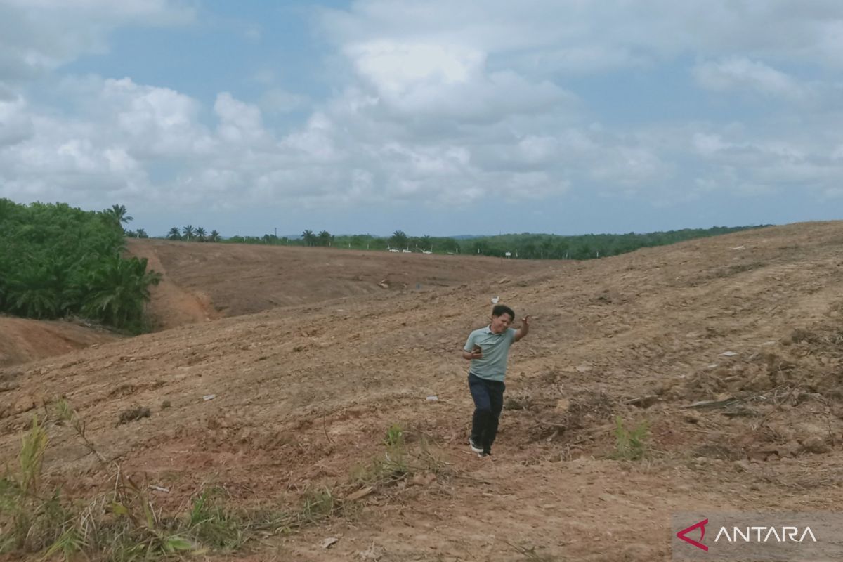 Keberadaan bandar udara Kota Nusantara  picu pembangunan Benuo Taka