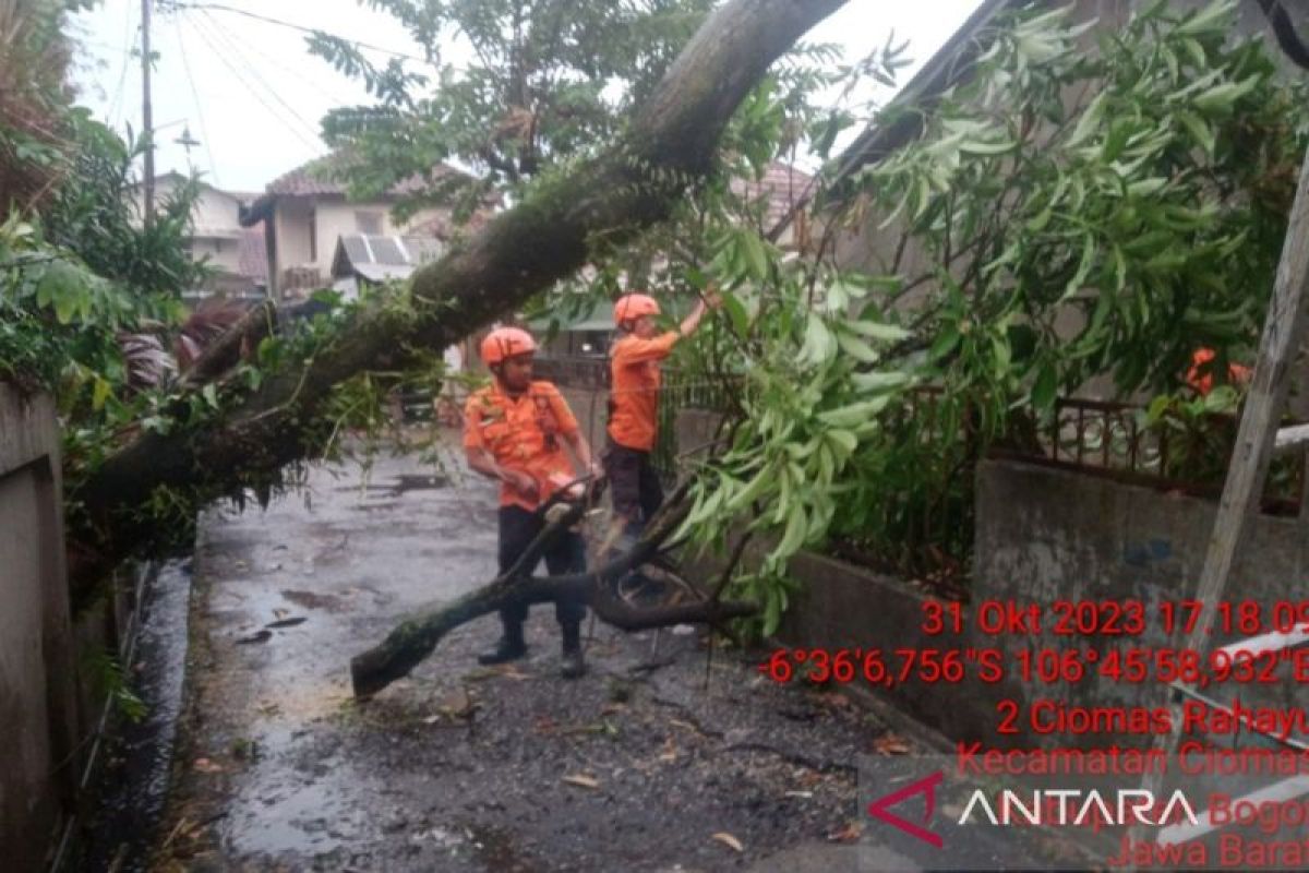 BPBD Bogor: 497 bangunan rusak akibat bencana longsor dan angin kencang