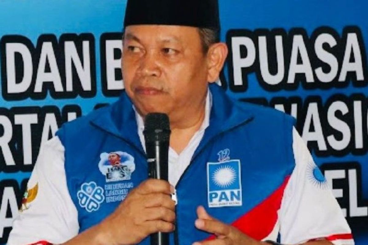 Ketua PAN Tapsel minta mantan bupati tidak diskreditkan Bupati Dolly Pasaribu