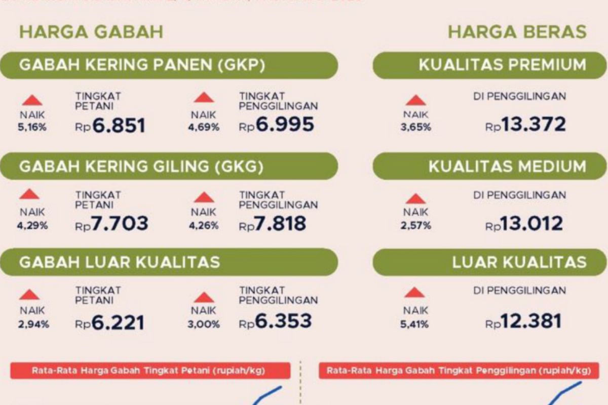 BPS: Transaksi gabah kering panen Oktober 2023 capai 64,16 persen