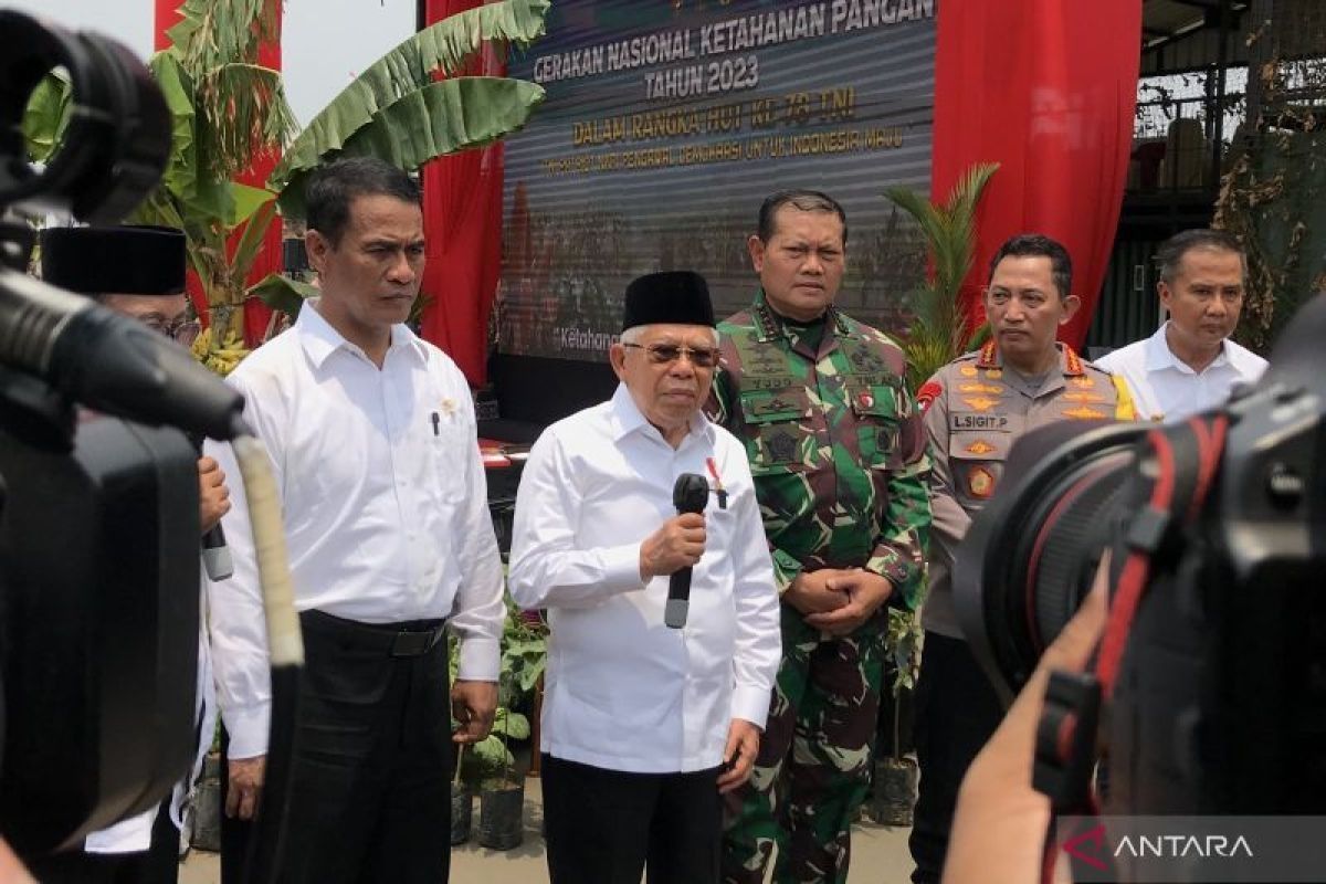 Wapres Ma'ruf Amin puji Gerakan Ketahanan Pangan TNI di 385 lokasi se-Indonesia