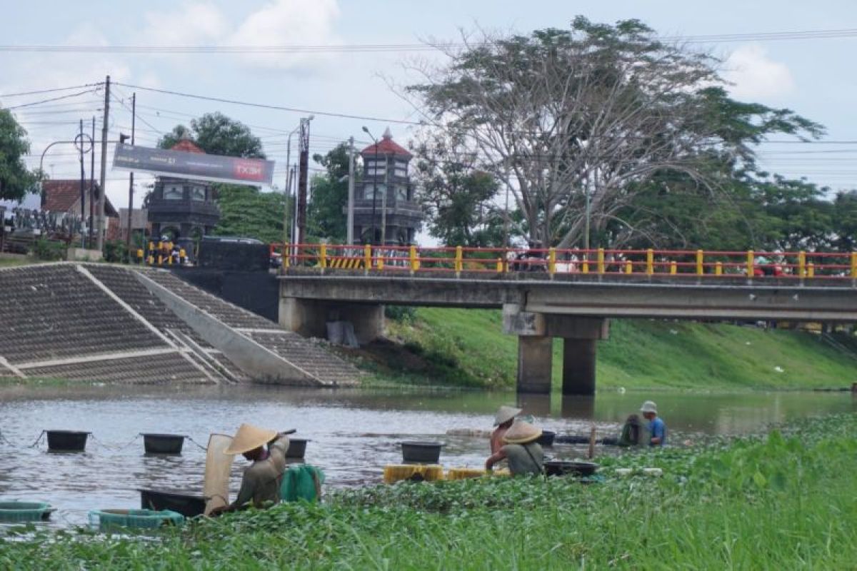 Sungai-sungai di Tulungagung tercemar bakteri e-coli