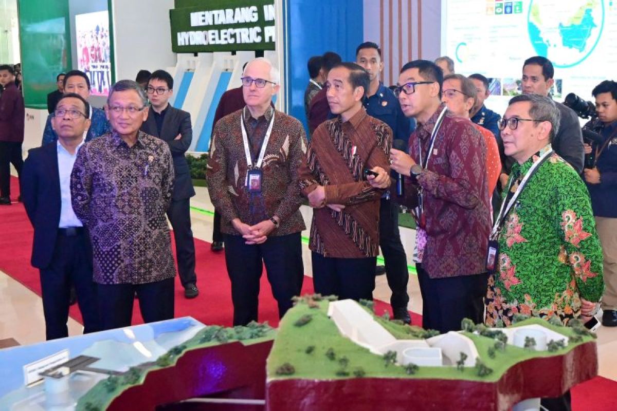 Dirut PLN paparkan pengembangan hydropower di tanah air