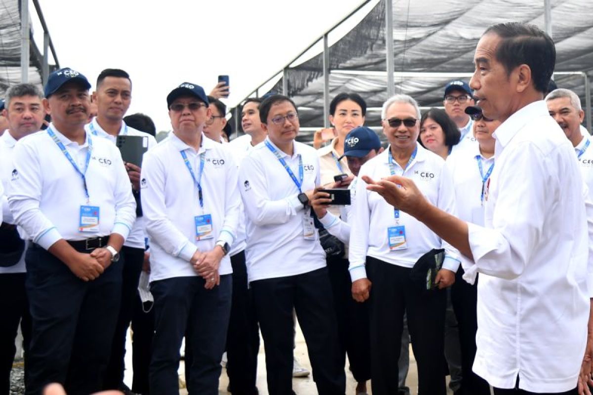 Jokowi ajak pimpinan perusahaan nasional tinjau persemaian Mentawir IKN