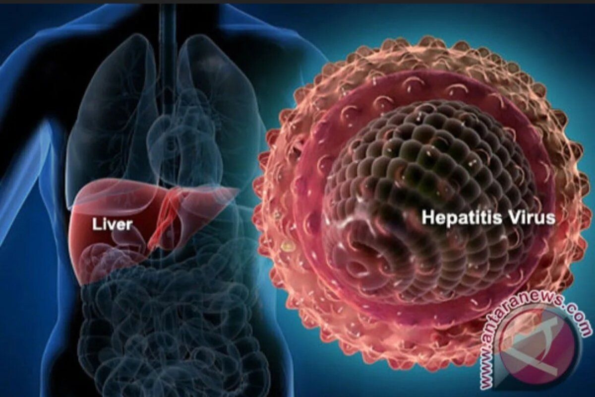 Prevalensi hepatitis B dan C turun dalam beberapa tahun terakhir