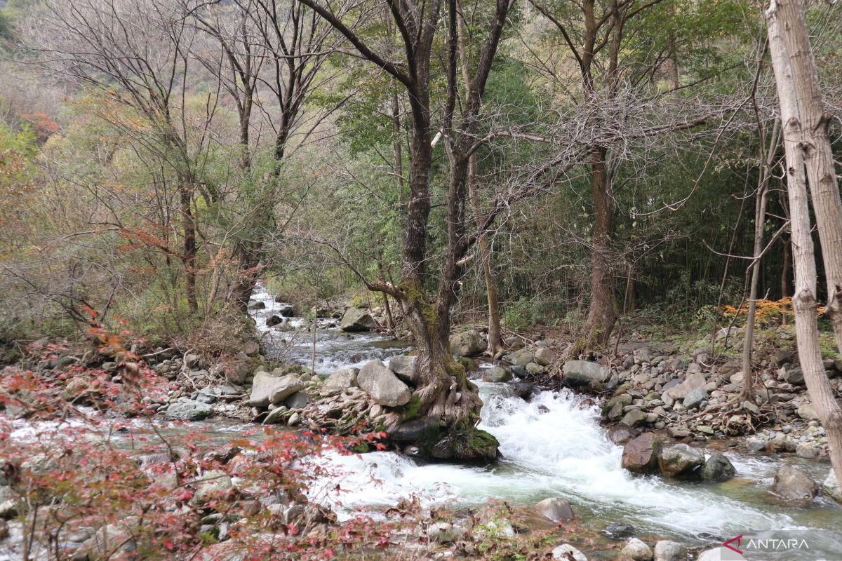 Serba-serbi ekowisata di Taman Nasional Qinling Provinsi Shaanxi