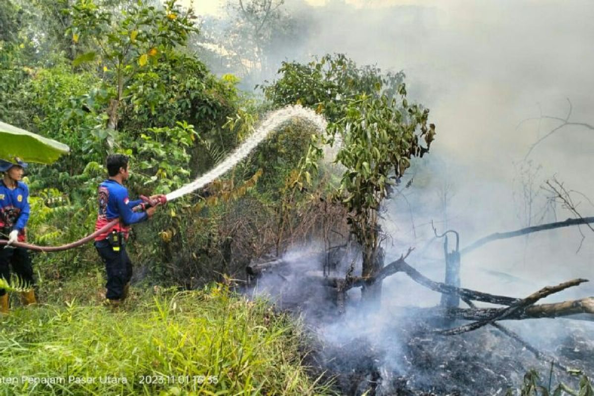 298 titik panas terpantau di wilayah  Kalimantan Timur