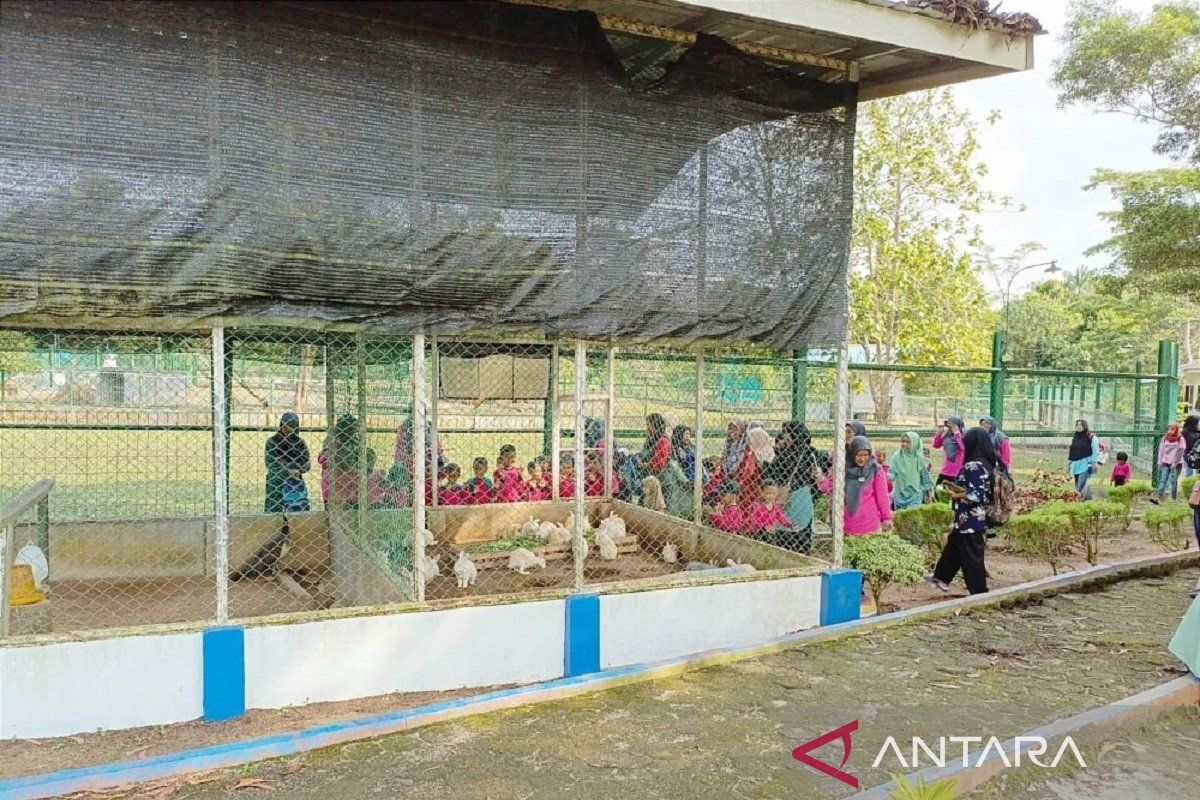 Siswa TK Bina Permata Desa Prayun Gembira Bisa Belajar dan Melihat Satwa di Kundur Park PT Timah