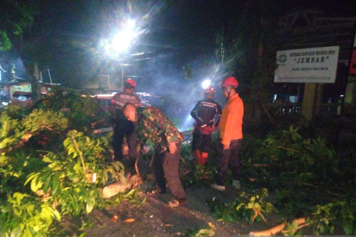 Petugas gabungan evakuasi pohon tumbang yang tutup jalan raya di Neglasari Sukabumi