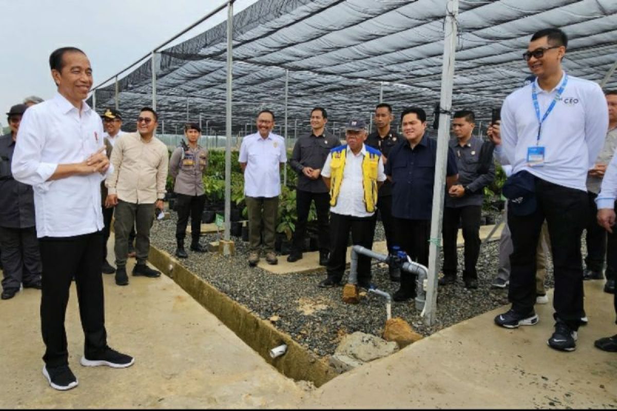 Dampingi Presiden di IKN, Dirut PLN siap penuhi listrik energi bersih