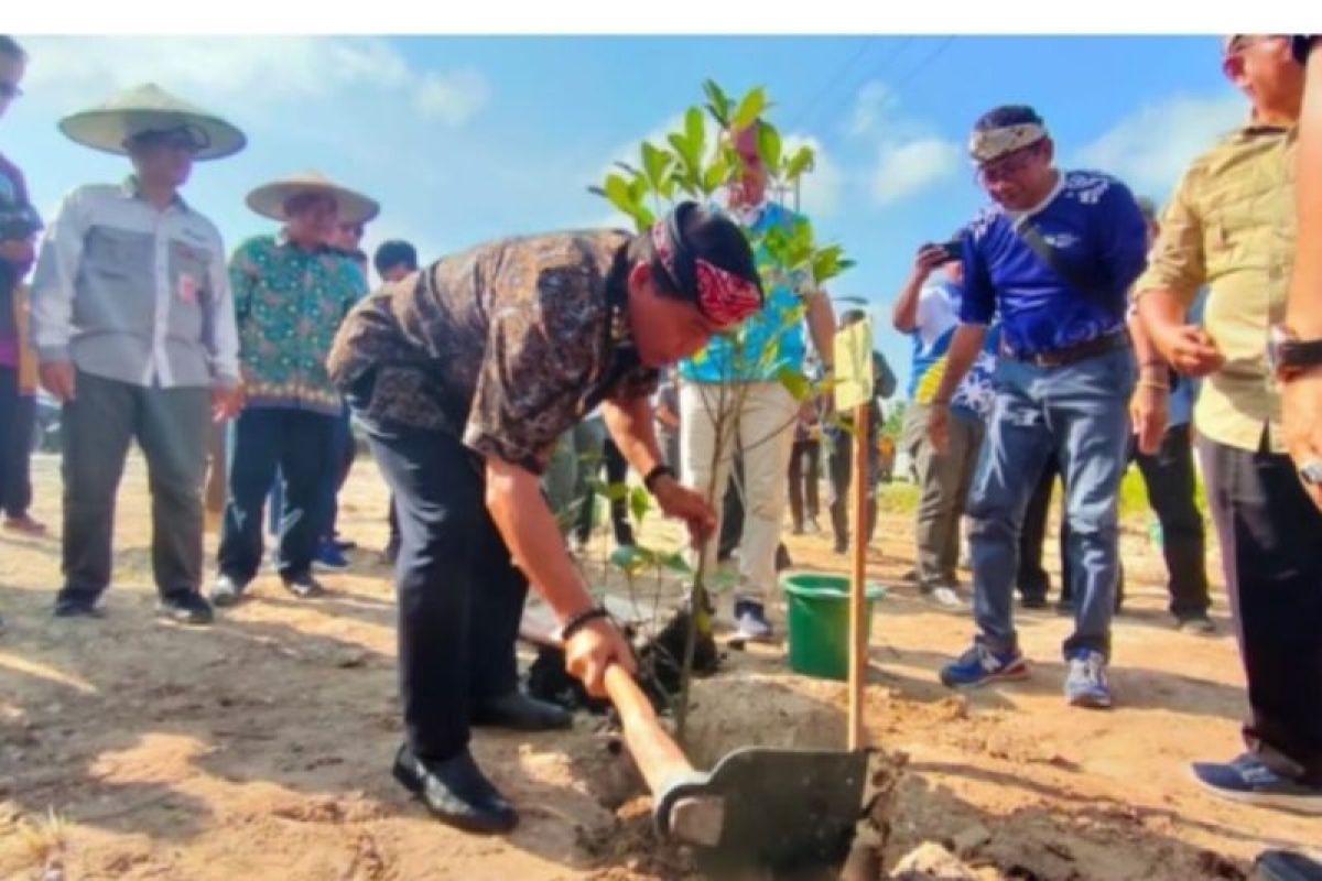 Gubernur Kaltara: Menanam pohon tanggung jawab bersama