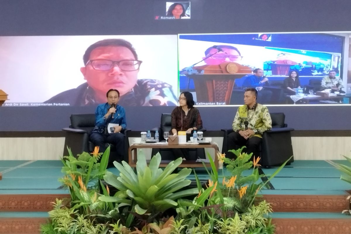 Dana bagi hasil sawit 2023 di Kalbar mencapai Rp310,98 miliar