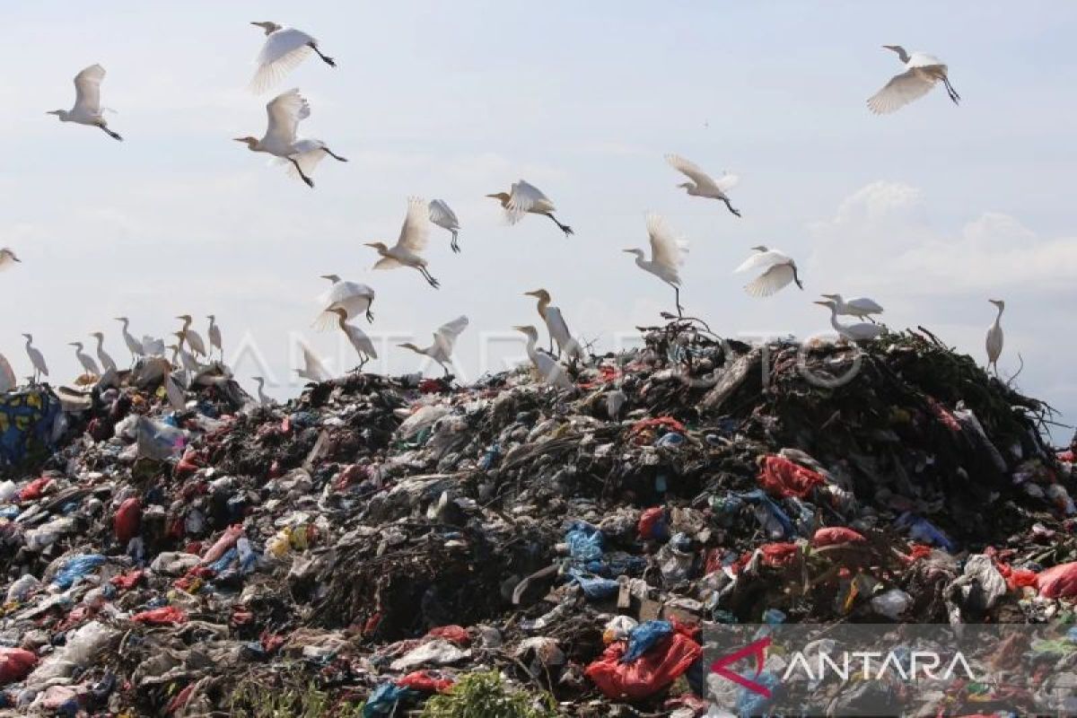 Banda Aceh gandeng investor kelola sampah jadi listrik