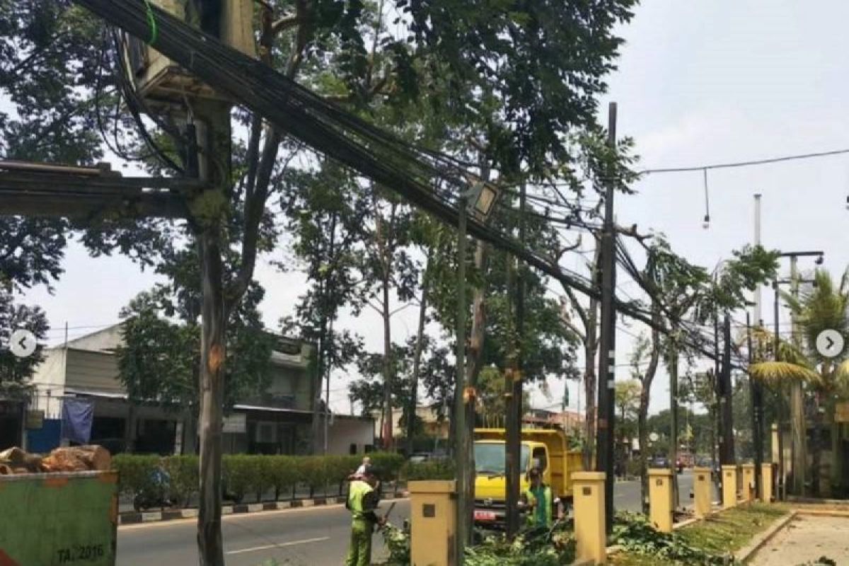 Disbudpar Tangerang menerjunkan tim awasi pohon rawan tumbang saat hujan