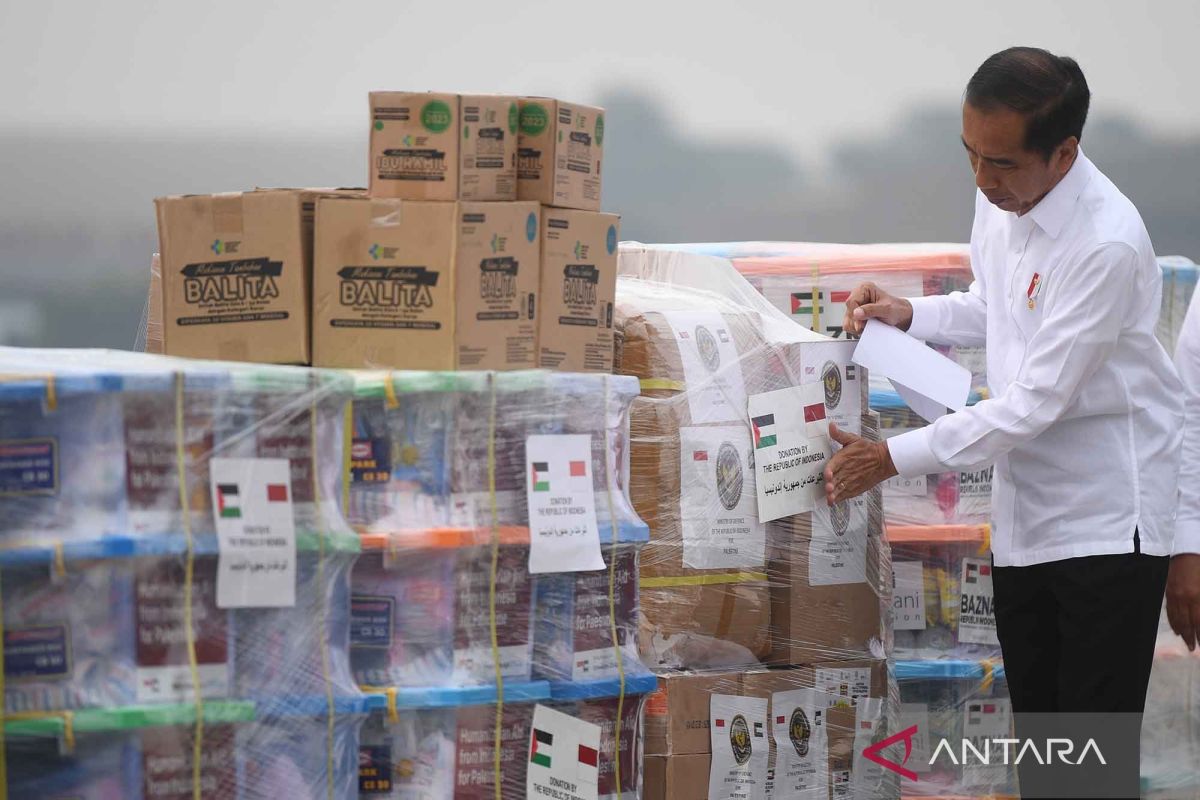 Menhan pastikan RI langsung kirim kapal RS saat diizinkan Mesir