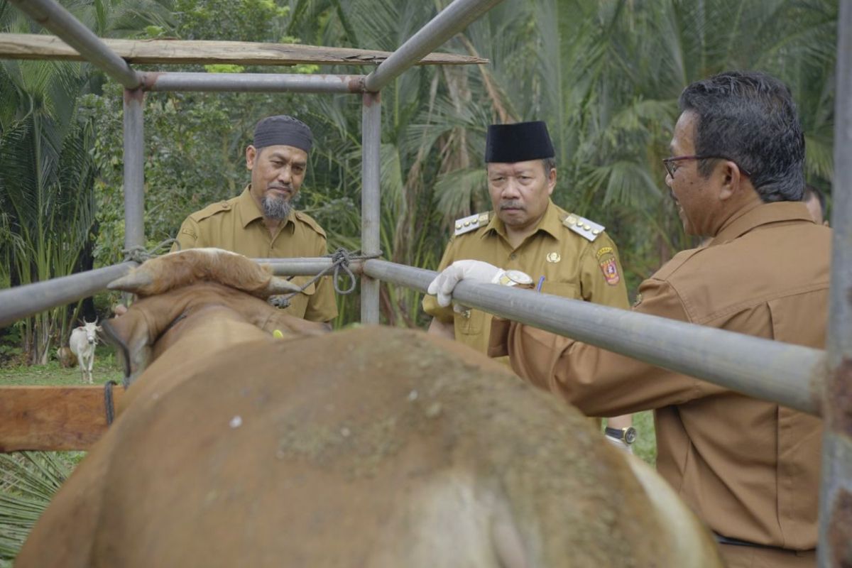 Pemkab Agam serahkan bantuan 13.433 ternak bagi 37 kelompok tani