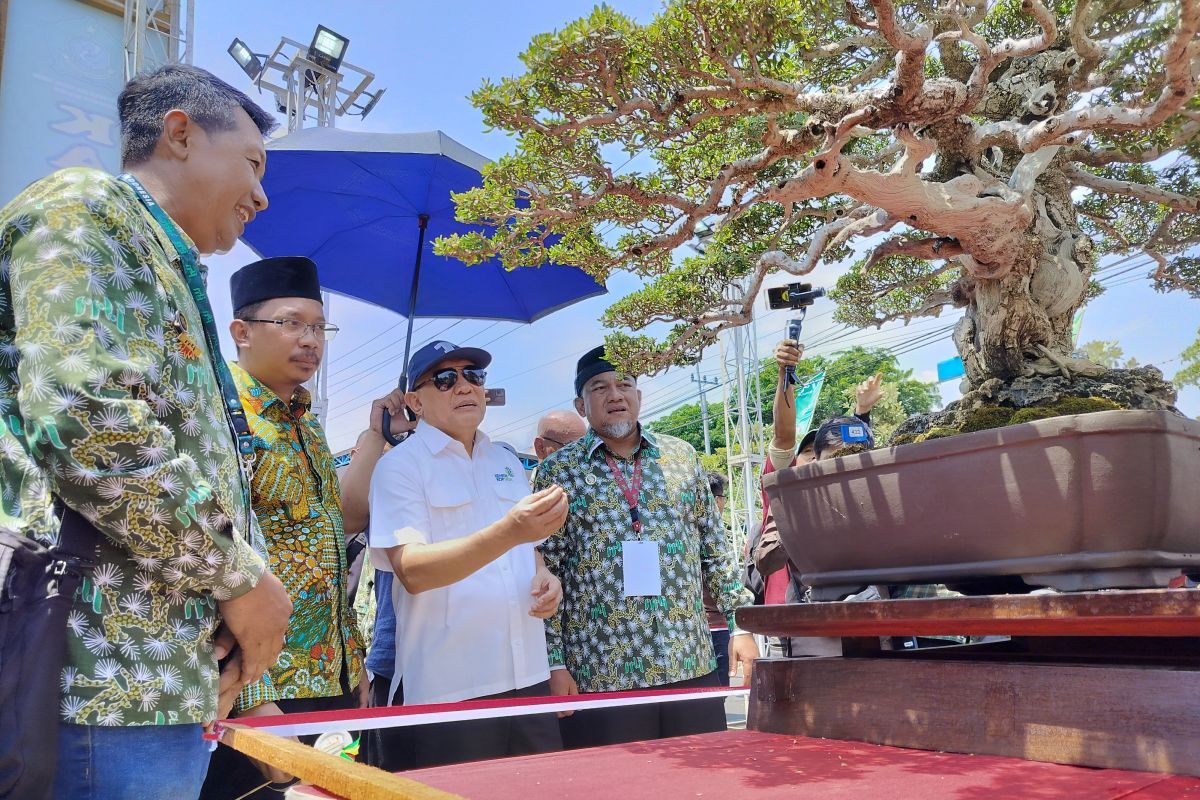 Penggemar bonsai Indonesia sasar pasar mancanegera