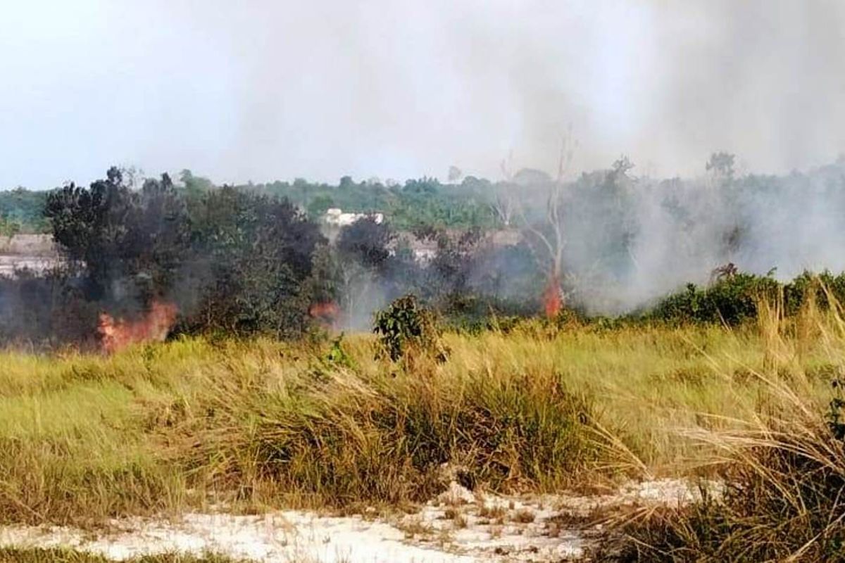 Kaltim alami kecenderungan penurunan titik panas