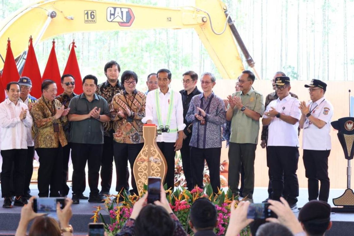 OIKN sebut Presiden Jokowi mengerem investor asing masuk ke IKN