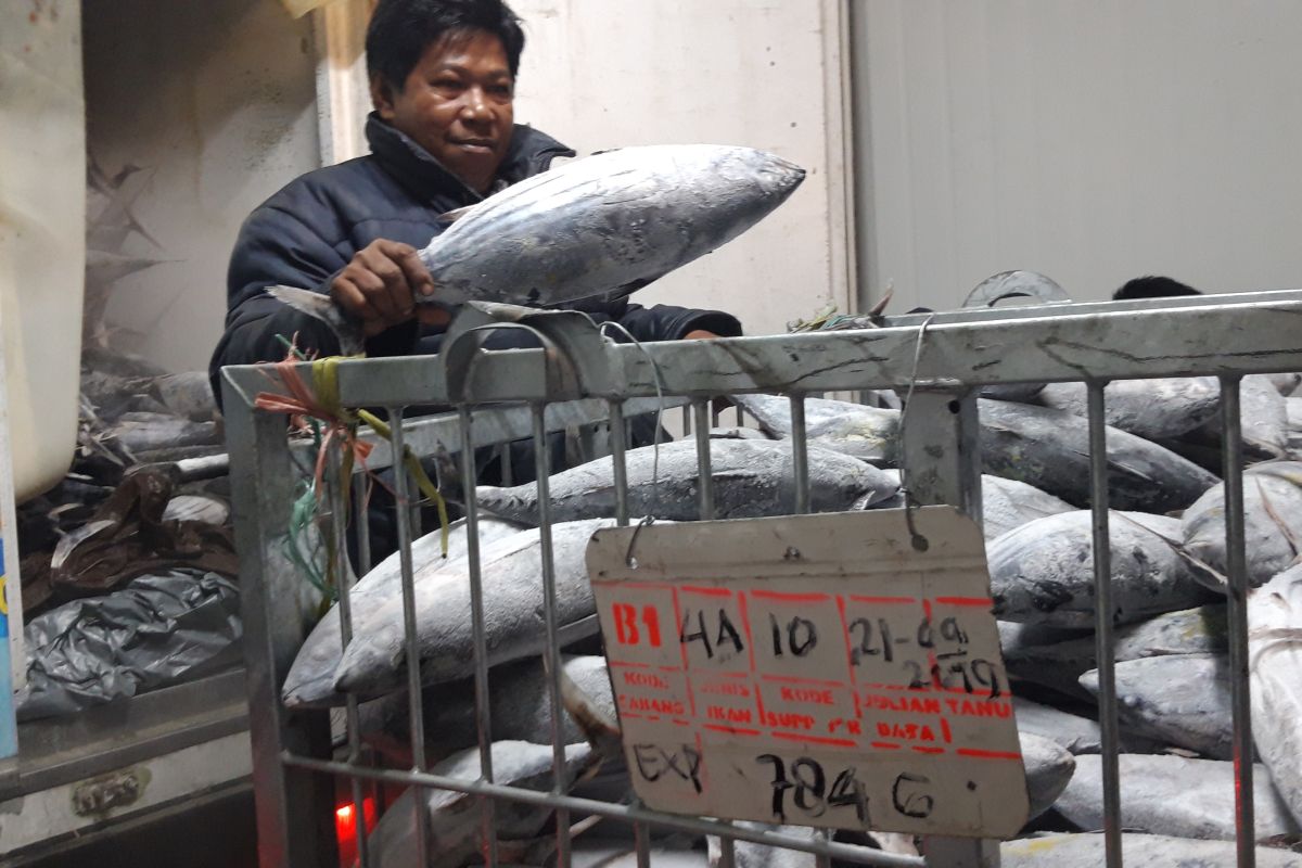 DKP Morotai akui infrastruktur belum representatif  jadi kendala ekspor ikan