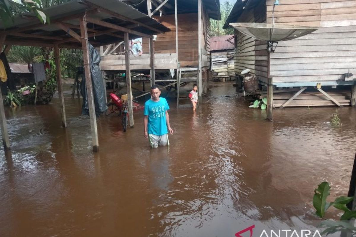 Sungai Sibara-bara Angkola Selatan meluap rendam seratusan pemukiman warga