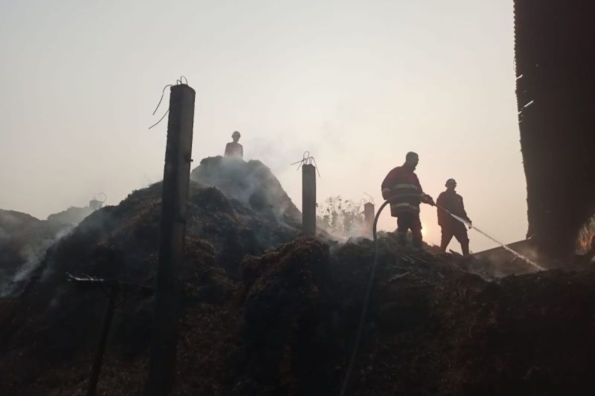 Padamkan kebakaran gunungan sampah pabrik gula di Tulungagung