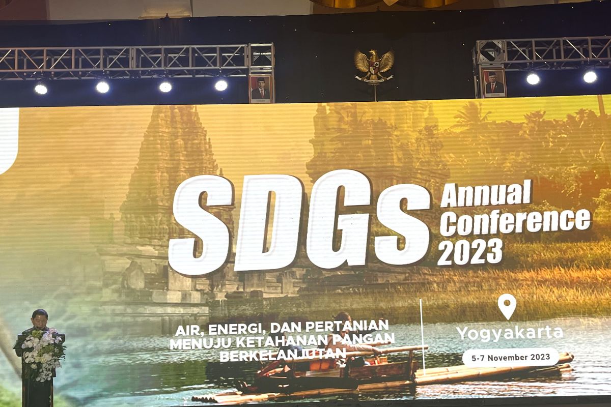 Capaian SDGs Indonesia 2022 dianggap progresif