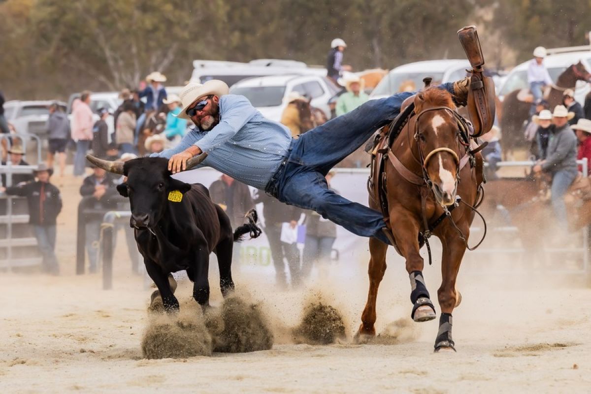 Melirik ajang Bungendore Rodeo di Australia